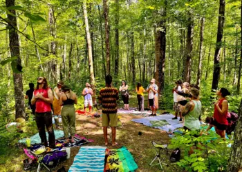 Forest Bathing: Returning to Nature for Inner Wholeness and Peace